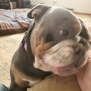 Meet your Posher, David